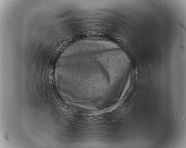 X0000102780915200809021048