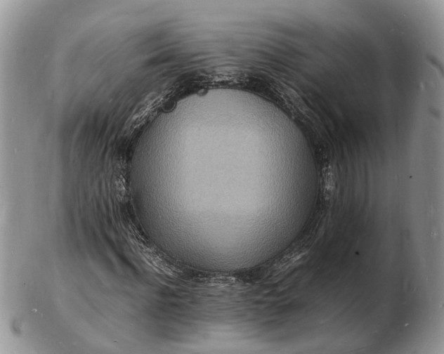 X0000102780916200809021048