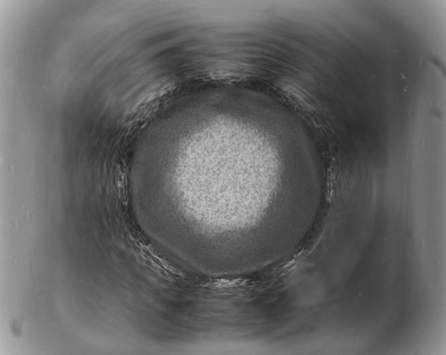 X0000102780917200809021048