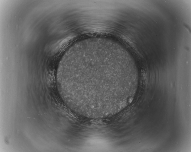 X0000102780918200809021048