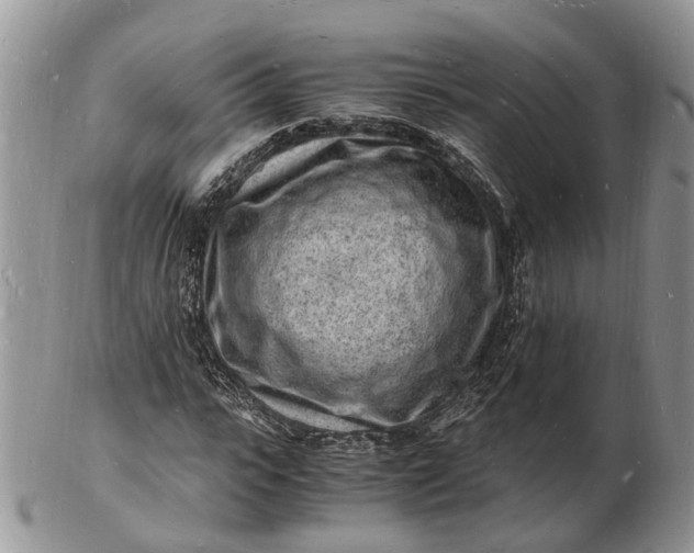 X0000102780919200809021048