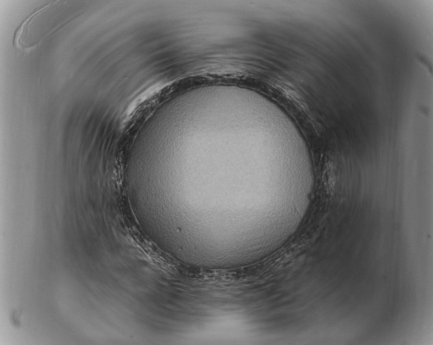 X0000102780920200809021049