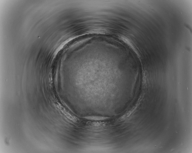 X0000102780923200809021049