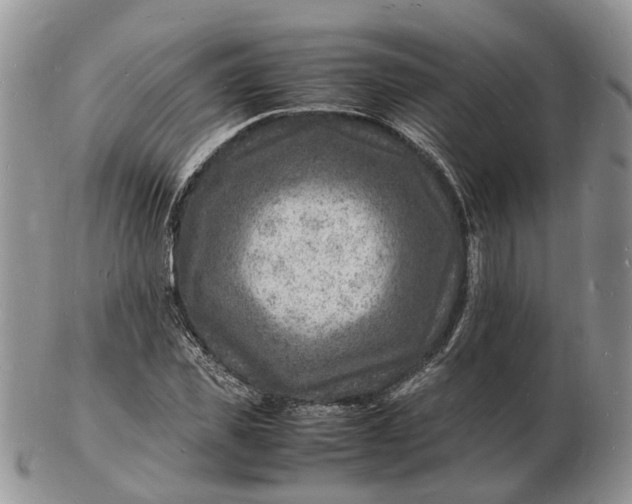 X0000102780925200809021049