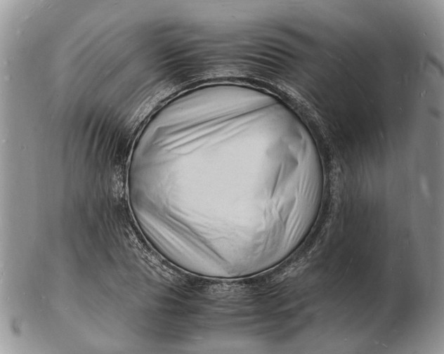 X0000102780929200809021049