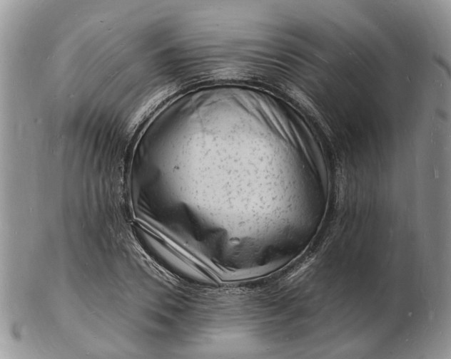 X0000102780930200809021049