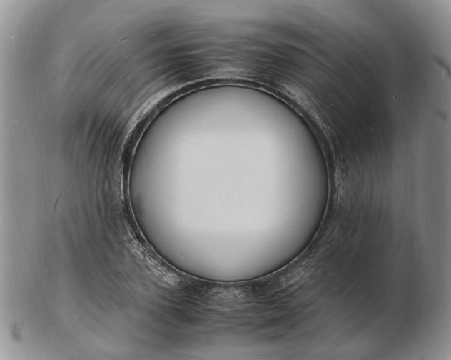 X0000102780931200809021049