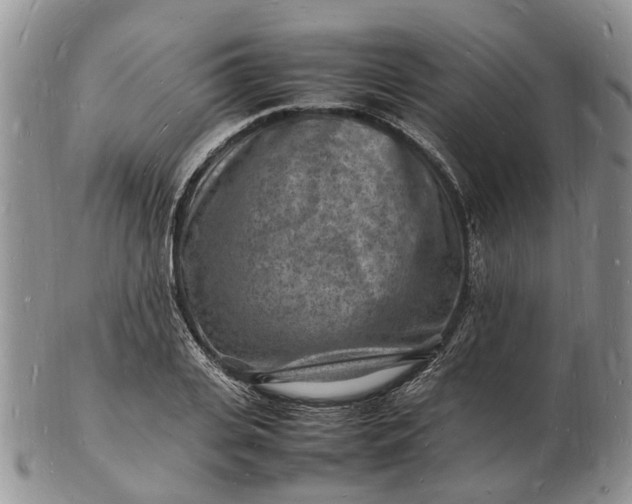 X0000102780935200809021049