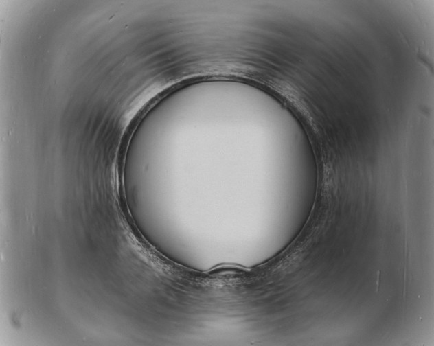 X0000102780936200809021049