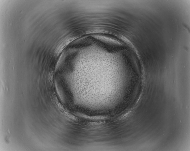 X0000102780937200809021049