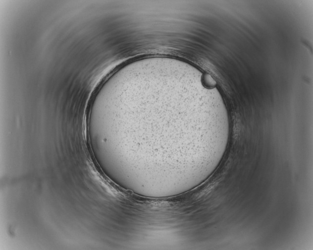 X0000102780940200809021049