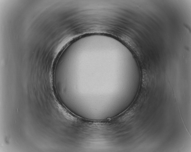 X0000102780942200809021049