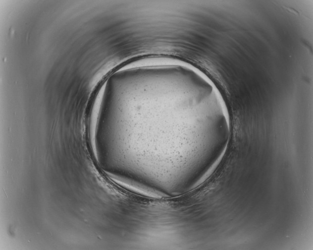 X0000102780944200809021049