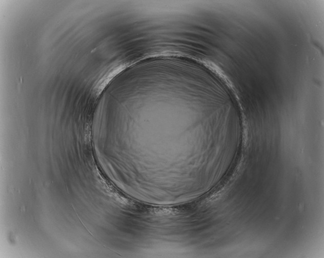 X0000102780945200809021049