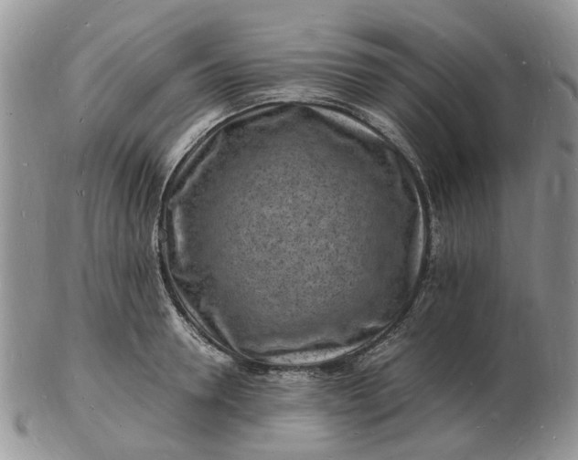 X0000102780946200809021049