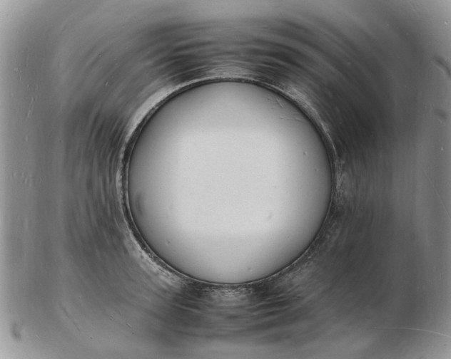 X0000102780947200809021049