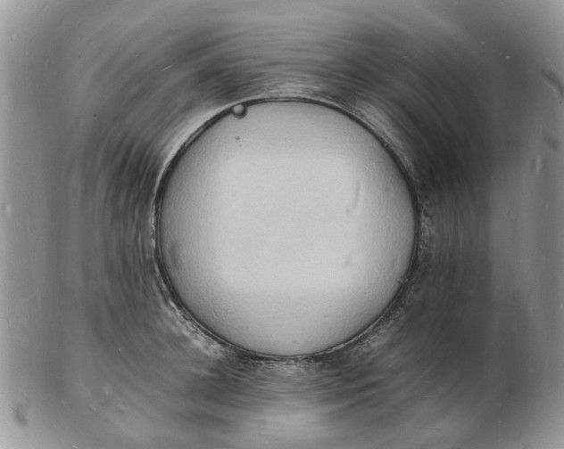 X0000102780948200809021049