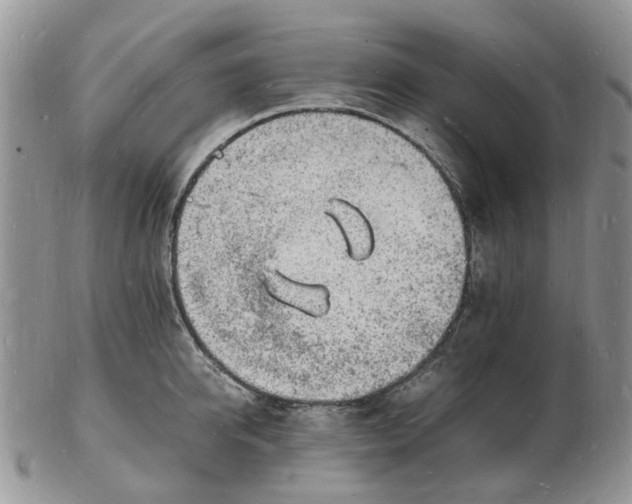 X0000102780950200809021049