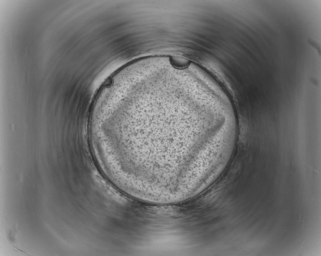 X0000102780952200809021049