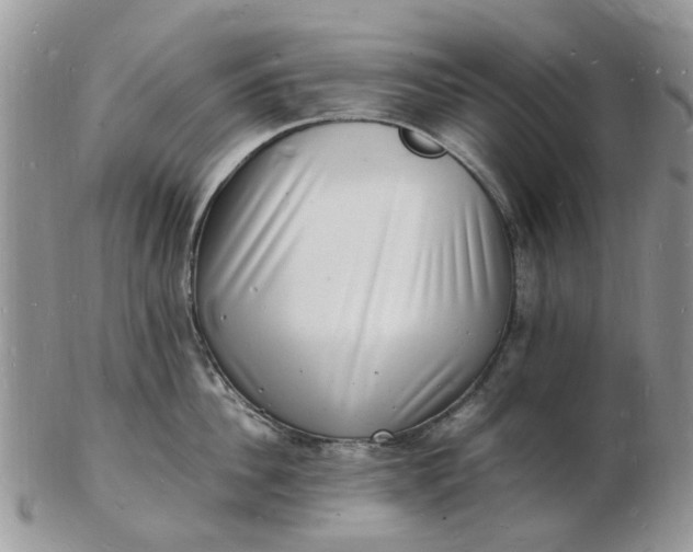 X0000102780956200809021049