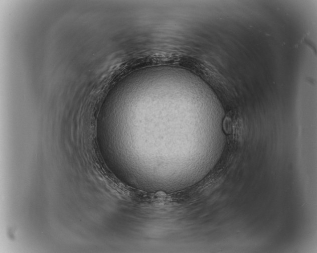 X0000102780961200809021048