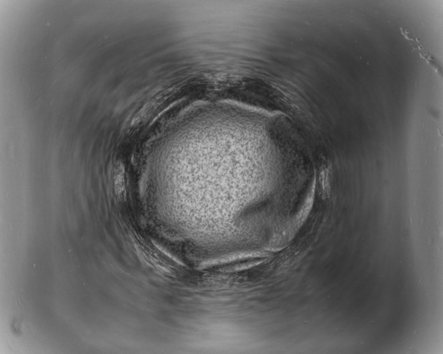 X0000102780963200809021048