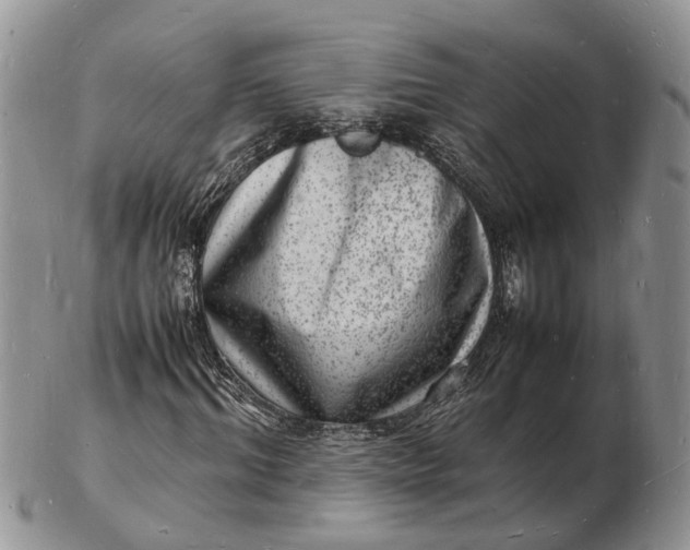 X0000102780964200809021048