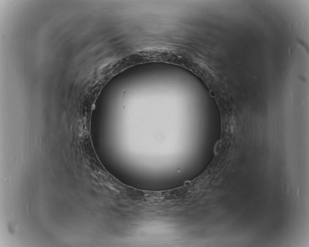 X0000102780965200809021048