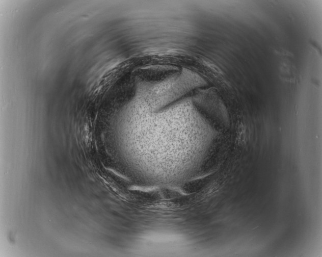 X0000102780966200809021048