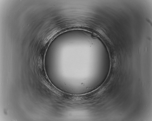 X0000102780969200809021048