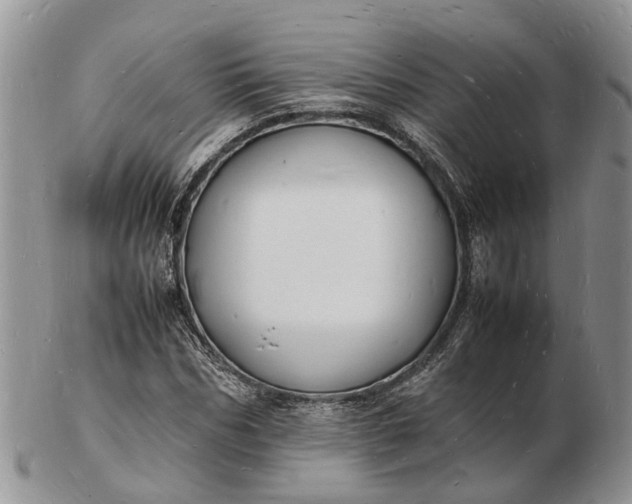 X0000102780970200809021048