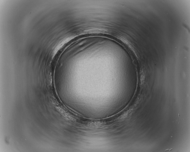 X0000102780973200809021048