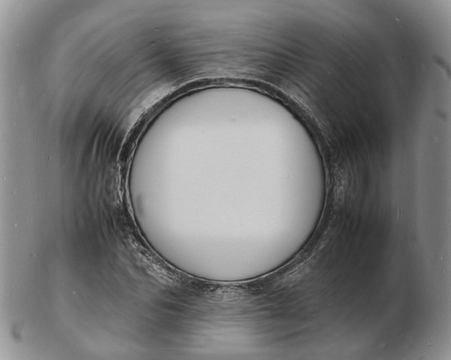 X0000102780974200809021048