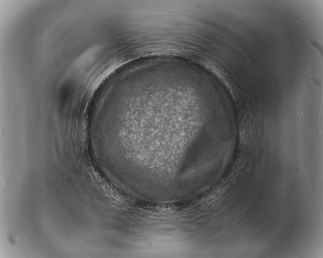 X0000102780975200809021048