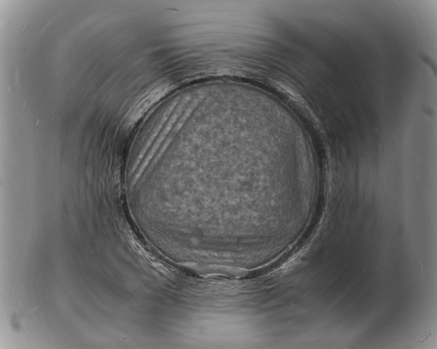 X0000102780977200809021048