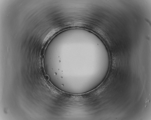 X0000102780978200809021048