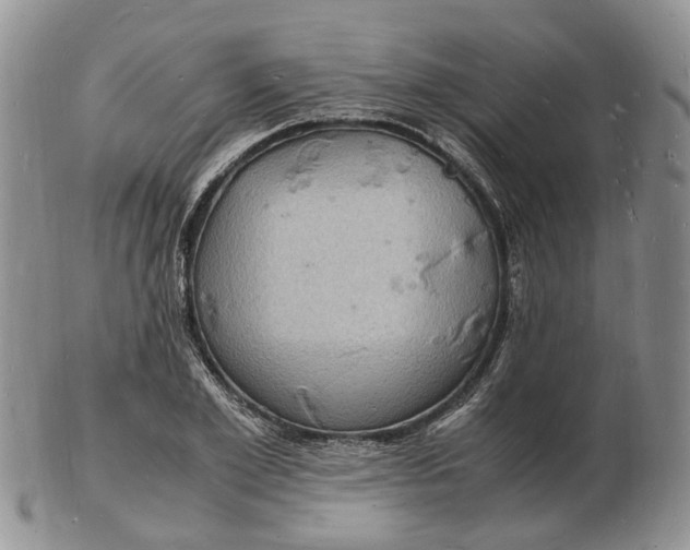 X0000102780981200809021048