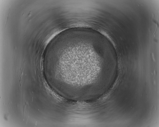 X0000102780983200809021048