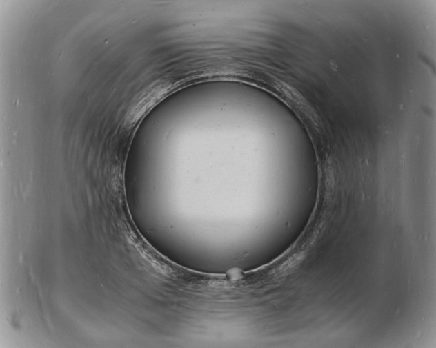 X0000102780985200809021048