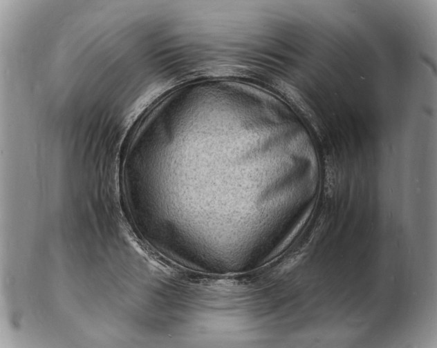 X0000102780986200809021048