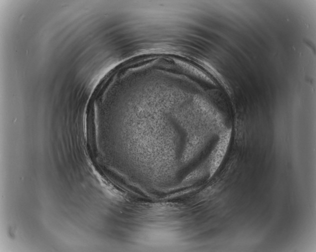 X0000102780988200809021048