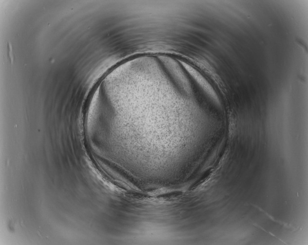 X0000102780990200809021048