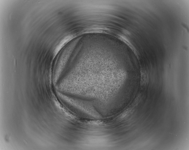 X0000102780994200809021048