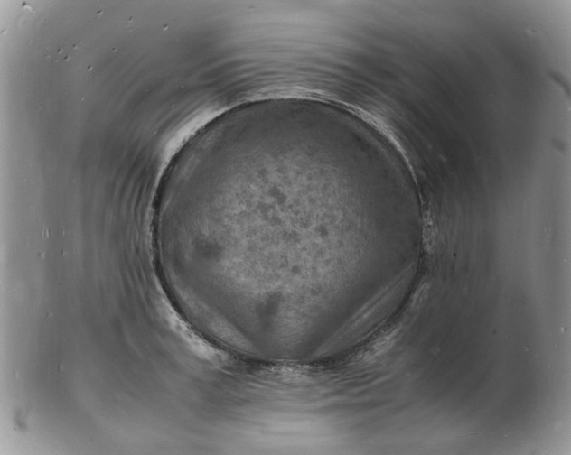 X0000102780995200809021048