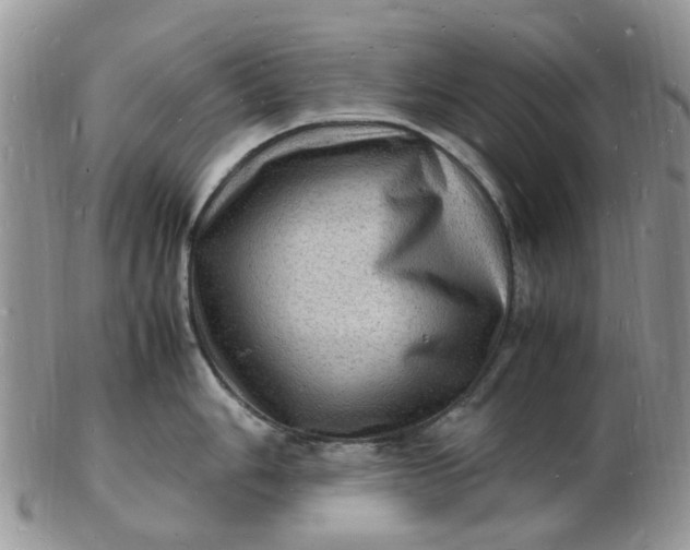 X0000102781006200809021048