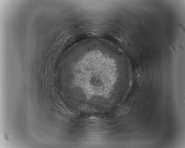 X0000102781009200809021047