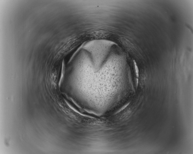 X0000102781010200809021047