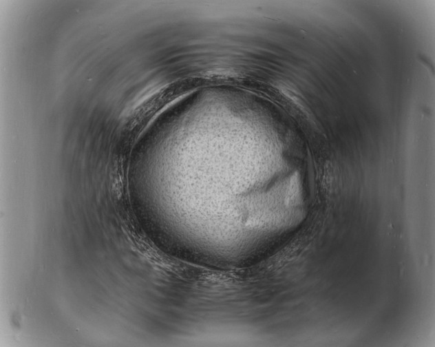 X0000102781015200809021047