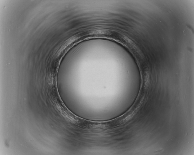 X0000102781017200809021047