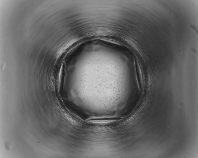 X0000102781018200809021047